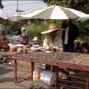 시간여행2004 이미지