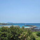 제주도게스트하우스파티바랑쉬성산점 | 제주도파티게스트하우스 &#39;제주도 게스트하우스 파티 바랑쉬 성산점&#39; 소개해요