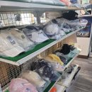 가보실내골프클럽 | 분당 골프샵 남자 미즈노 JPX 925아이언세트 시타 후 구매 후기