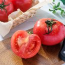 토마토2 이미지
