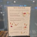 하노이 | 오송 1산단 맛집 쌀국수 맛집 하노이별 오송점