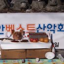 디지토아