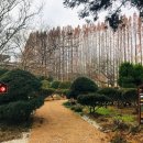 온빛매점