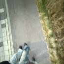 왓다막창 이미지