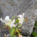 장제로155번길 이미지