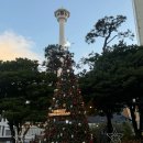 컴포즈커피계림 | 251211~12 : 경주1박2일, 남포동트리