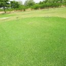 양호파크골프장 이미지