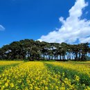 용추마을 이미지