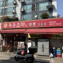 목동초마 이미지