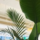 원브런치카페 이미지