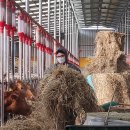 하은목장 이미지