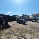 뉴인제카 이미지