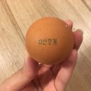 다산양계 이미지