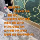 경산.영천 ✅원룸토탈 방역✅