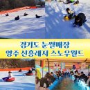 초아 태권도 | 경기도 눈썰매장 양주 신흥레저 스노우월드 겨울 아이와 가볼만한곳추천