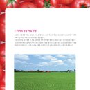 농산물직판장 이미지