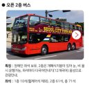 빌리브 인더시티 남산 | 타이거 버스 타고 본 서울 단풍🍂 시티투어버스 후기(11월 11일)