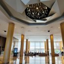 힐튼 경주 실내수영장 | 경주 호캉스 추천 힐튼 경주 호텔 실내 수영장 조식 뷔페 사우나 할인