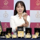 금돼지 은돼지 이미지