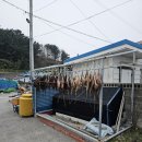 용화파도민박 네이버블로그