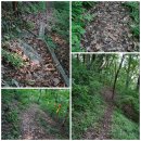 부귀면행정복지센터 이미지