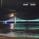 엑스파크공원(푸르네)_M | 부산 광안리해수욕장 놀거리 광안대교 야경 점등 시간