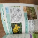 식물도감[일본야쿠시마의 식물안내책] 이미지