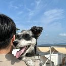 제우스 노래연습장 | [일상♥] 오랜만에 가족들 모여서 놀다 온 후기 | 강화도 케이131 | 송도 트리플스트리트 | 인천 가족모임