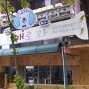 내개로와 이미지