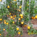 운암농장 이미지