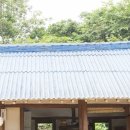 삼시세끼 이미지