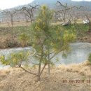 남송농장 이미지