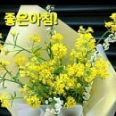 데살로니가전서5장23절~평강의 하나님이 친히 너희로 온전히 거룩하게 하시고 또 너희 온 영과 혼과 몸이 우리 주 예수 그리스도 강림하실 이미지