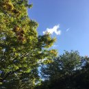 뉴부천식당 이미지