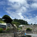 여우모텔 | 제주) 제주 여행기를 가장한 제주JW메리어트 후기 -1편
