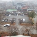 평택복싱