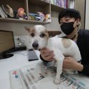 누리봄동물병원 이미지