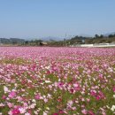 한강시민공원(자연학습장) 이미지