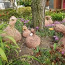 그림나래 이미지