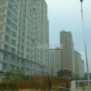 로얄부동산중개사무소 이미지