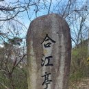 간송문집 및 금라전신록책판 | 함안 ㅡ 합강정 ㅡ22년3월26일