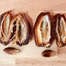 나무메드 이미지