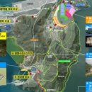 가덕도 동백군락지 이미지