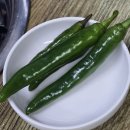 88감자탕 | [종가댁인천공항]근처 감자탕 맛집 〈88뼈해장국〉후기 인삼이 통째로! 내돈내산 후기