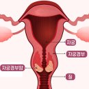 경부