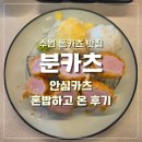 경기도 수원시 장안구 수성로245번길 정자천로188번길 | [수원] 정자동 숙성 안심카츠 맛집 | 분카츠