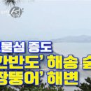 신안 여름 가볼만한곳 짱뚱어해수욕장 이미지