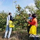 김상운농장 뉴스1