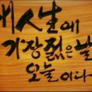 더나은교육정보