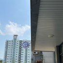 카페인스